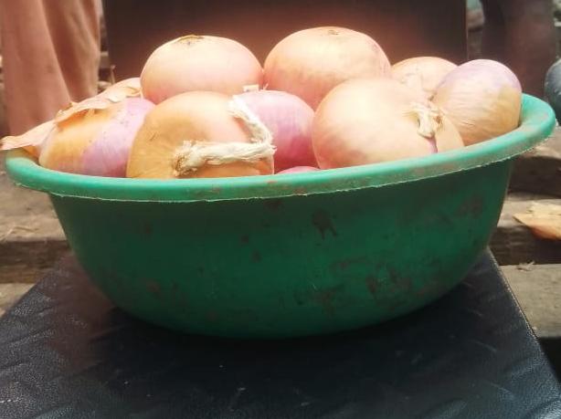 Onions 
