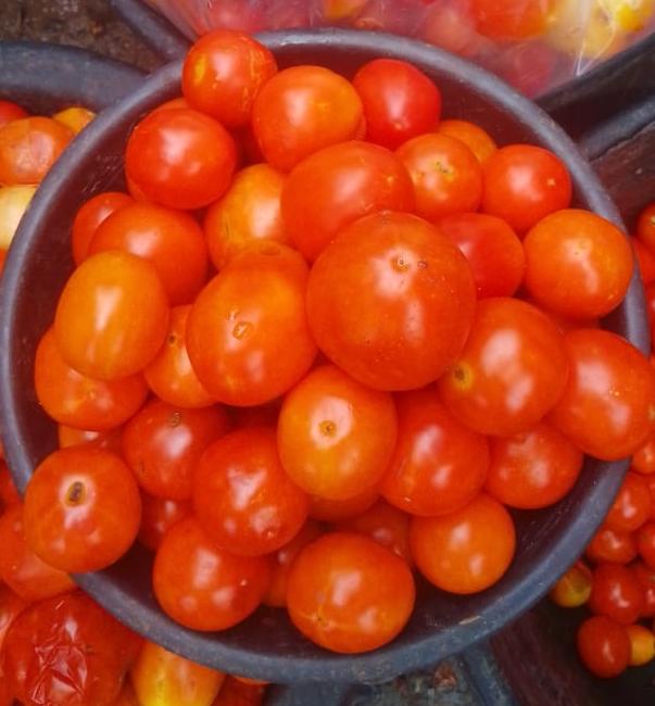 Tomato