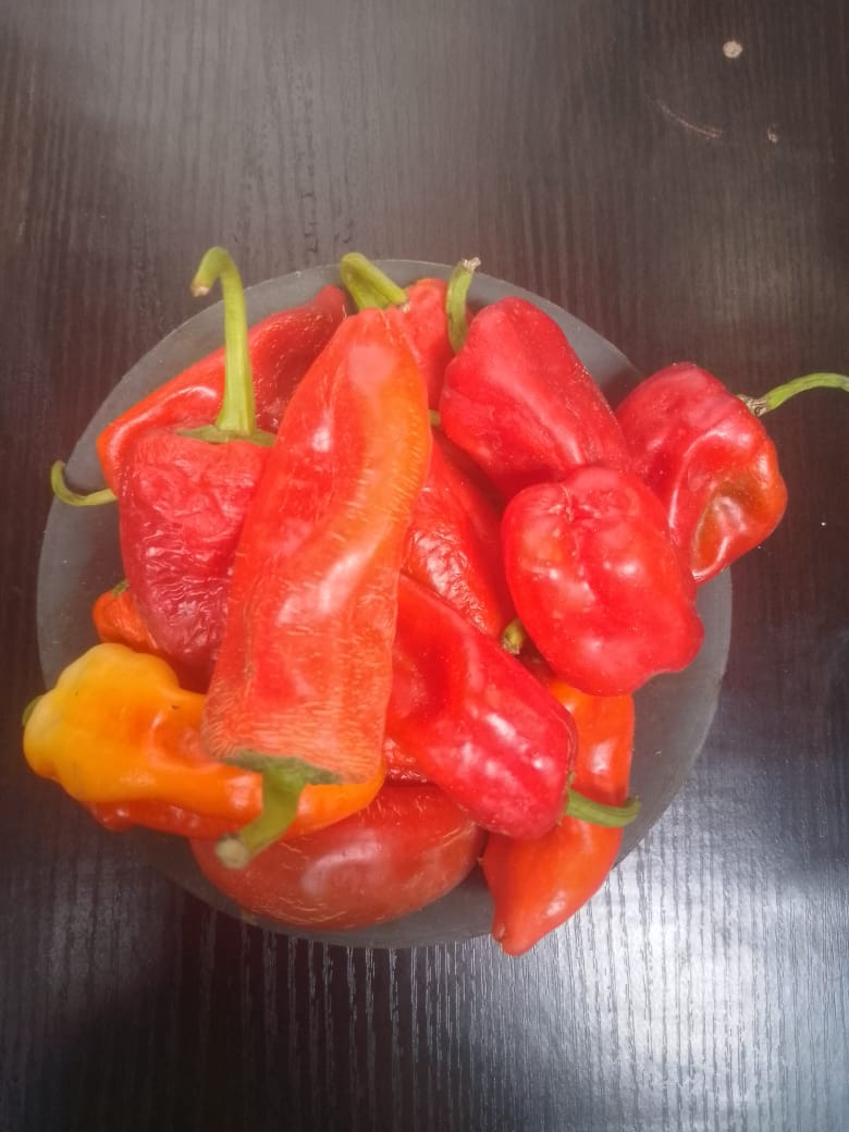Fresno Pepper