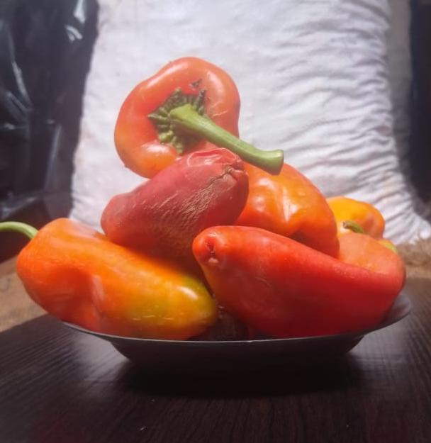 Fresno Pepper 