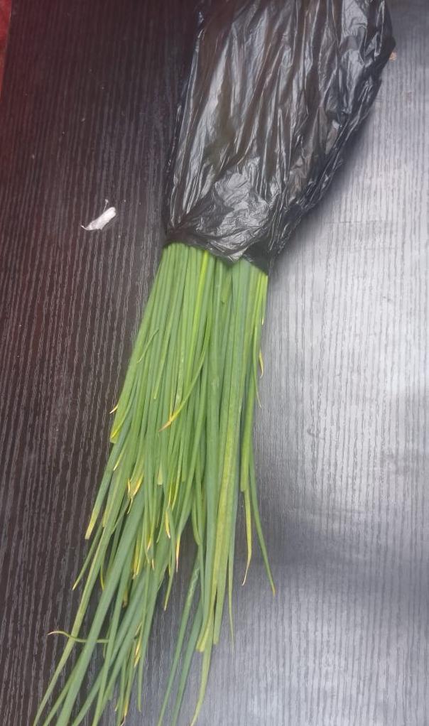 Spring Onions