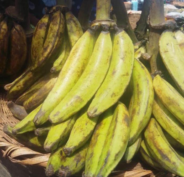 Plantain