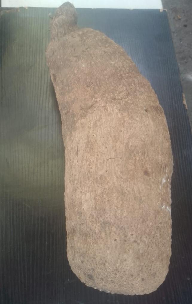 Abuja Yam 
