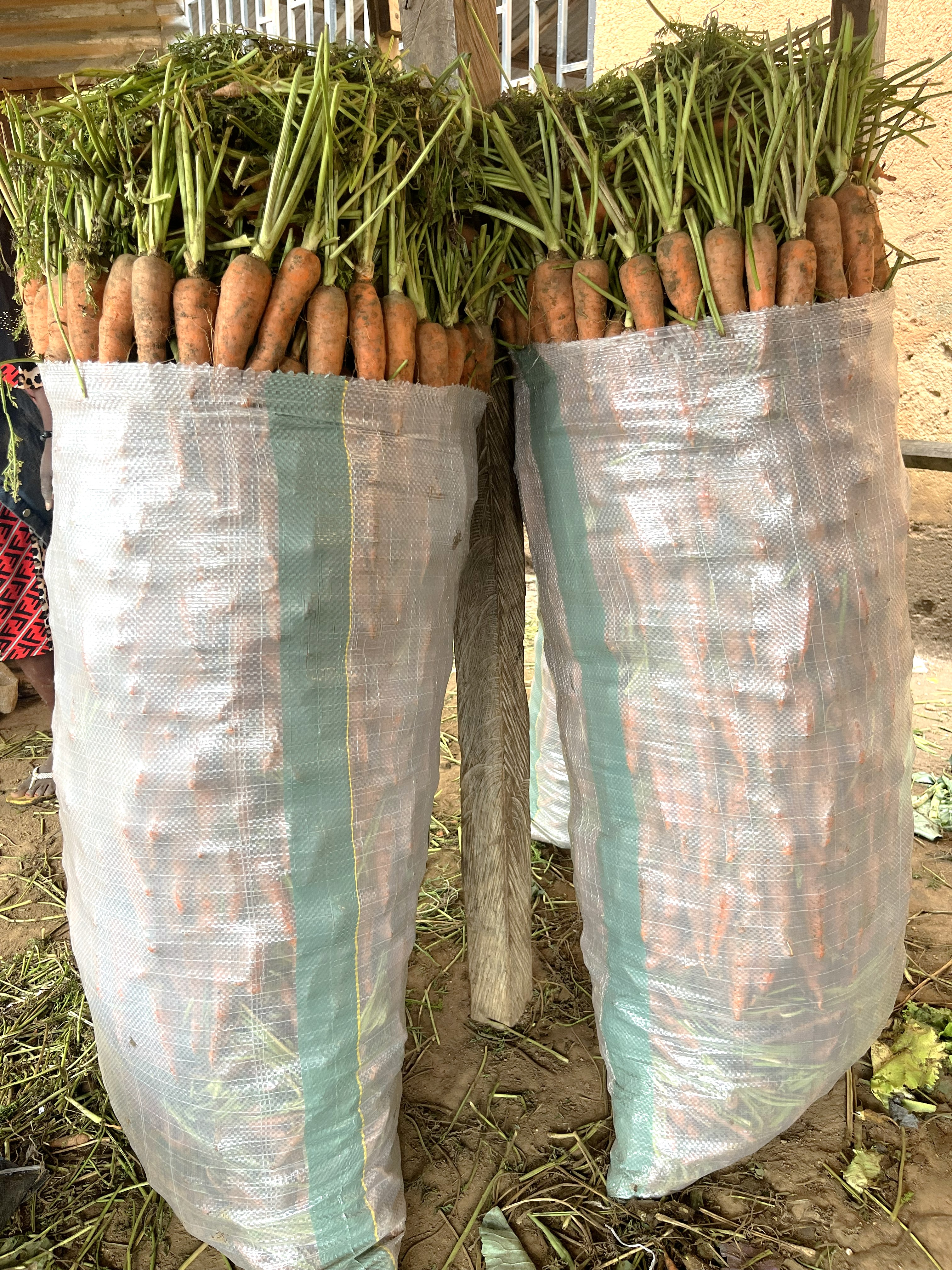 BAG OF CARROT