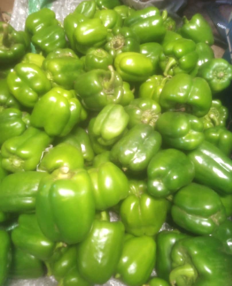 GREEN BELL PEPPER