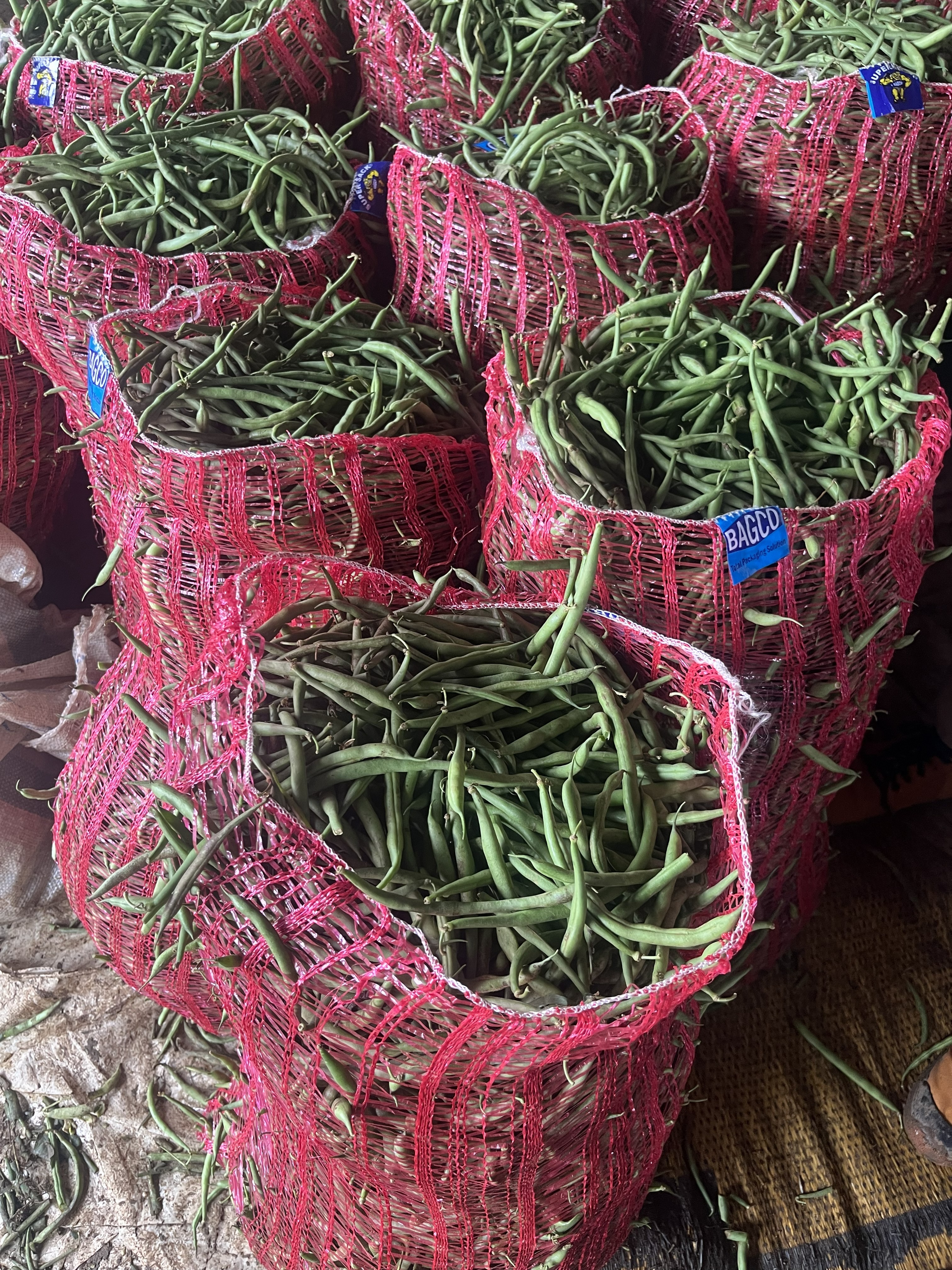 GREEN BEANS