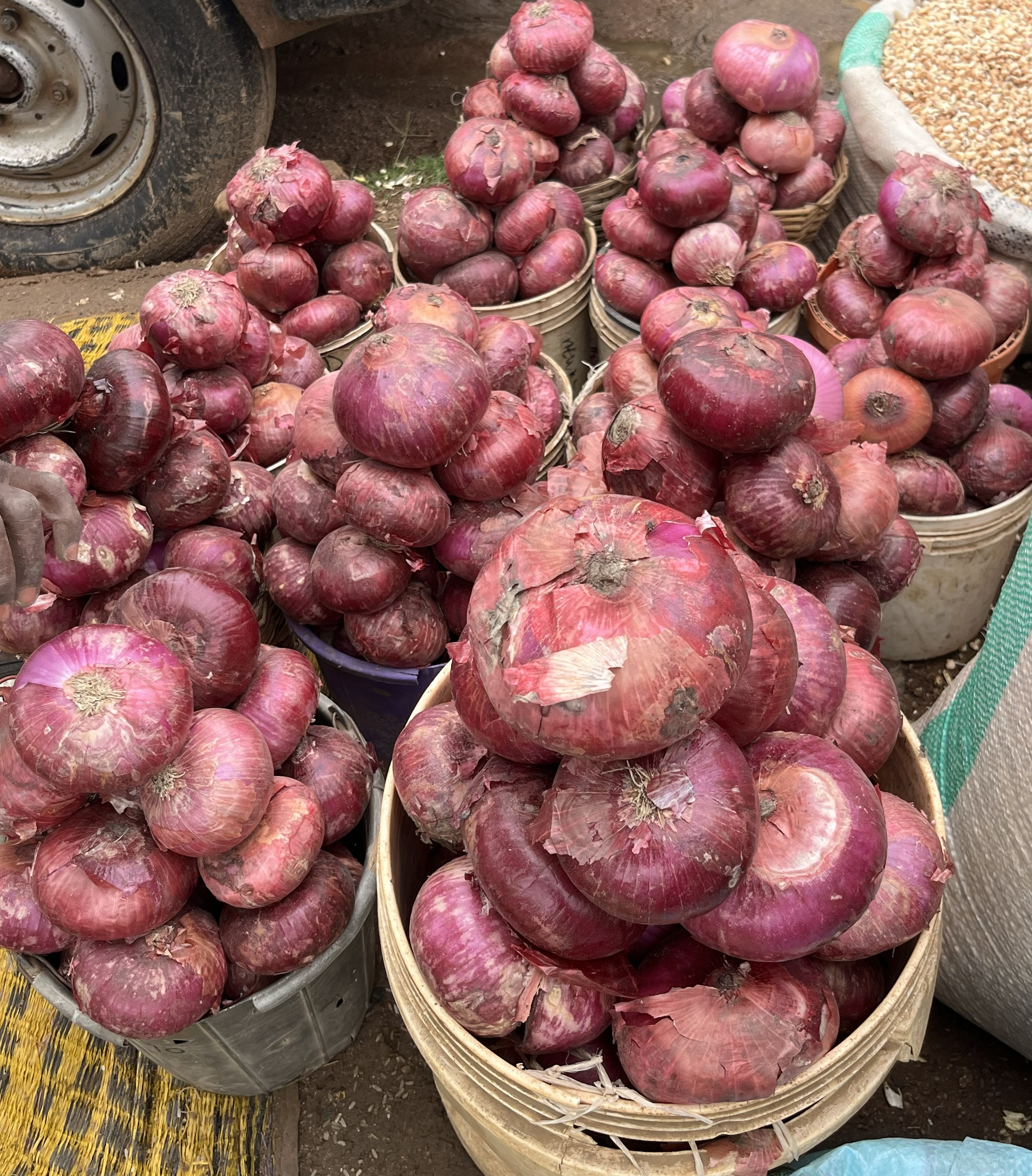 ONIONS
