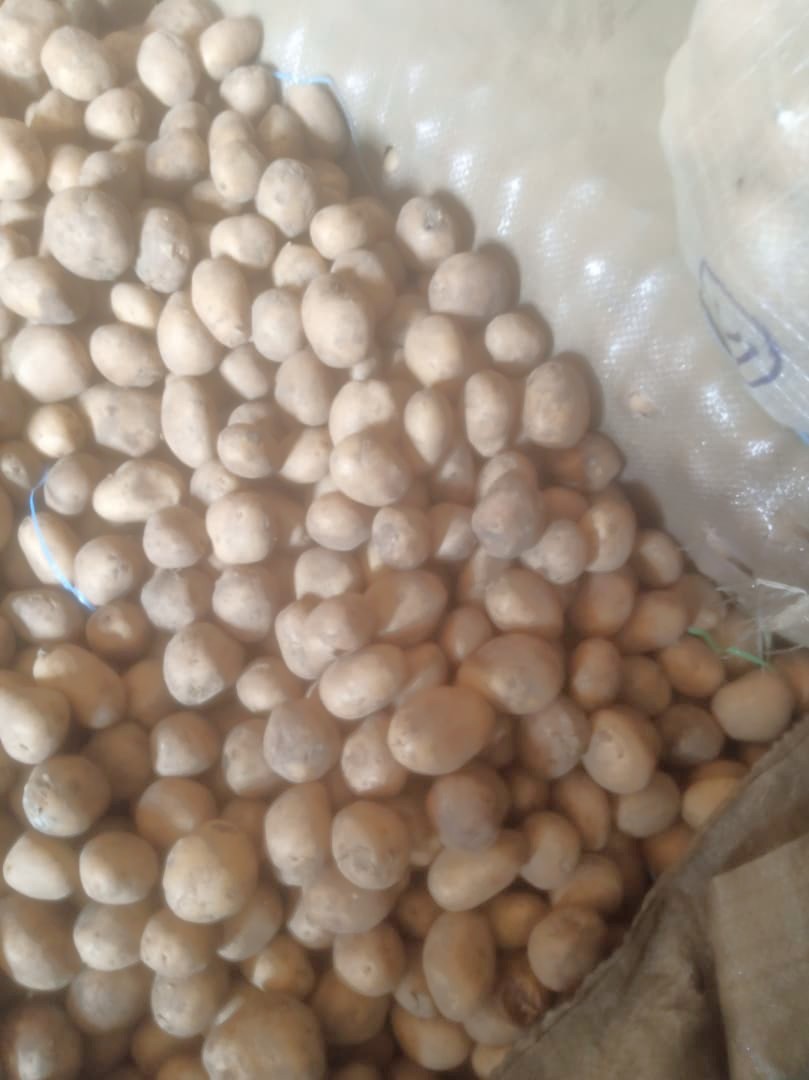 FRESH POTATOES