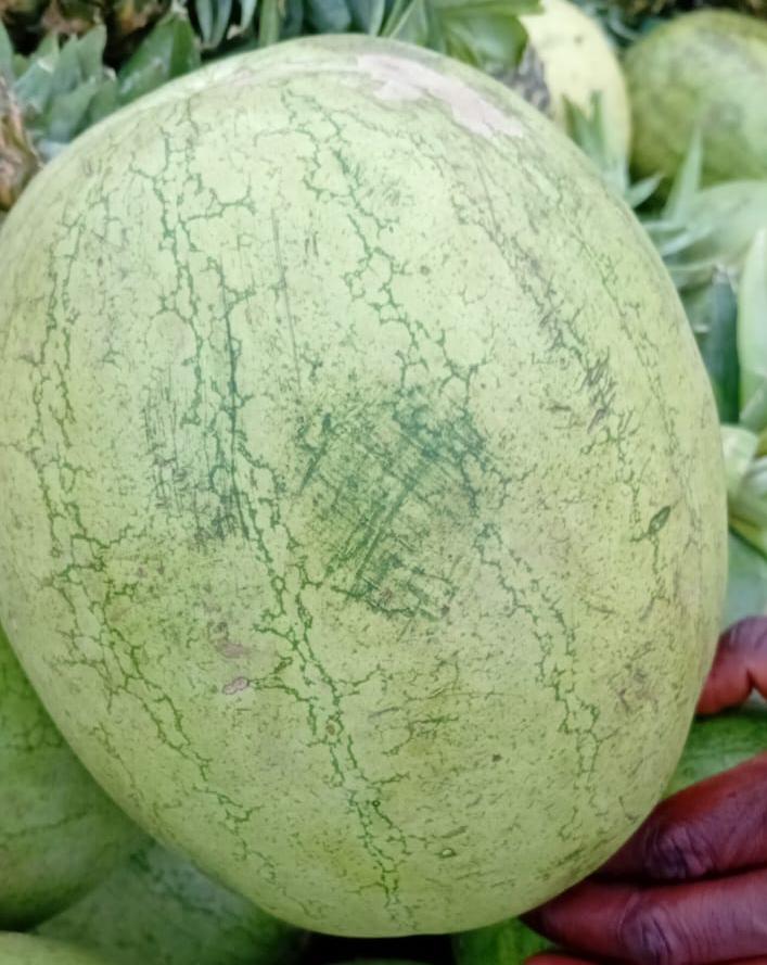 Watermelon 