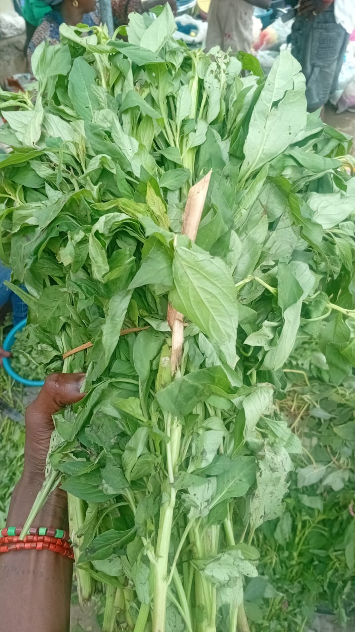   Spinach leaves 