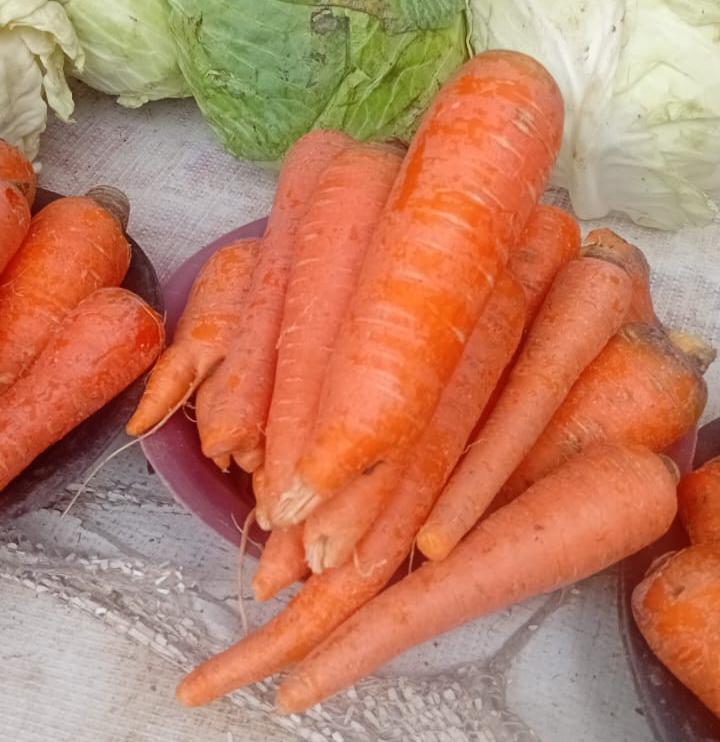 Carrots 