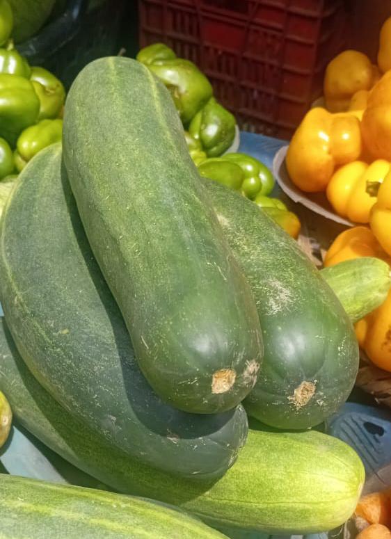 Cocumber 