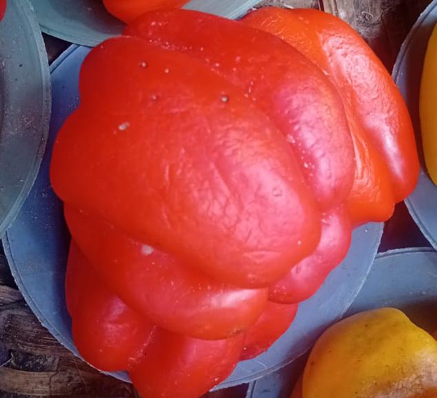 Red pepper 