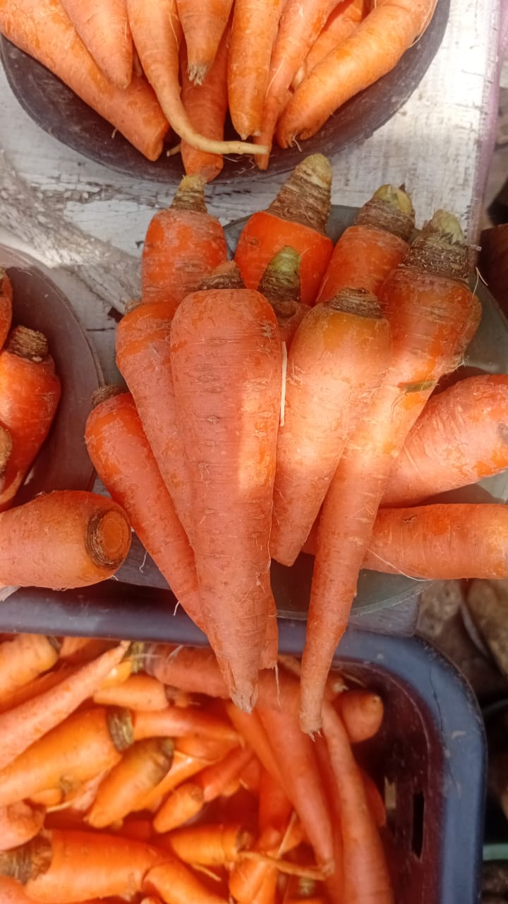 Carrots 