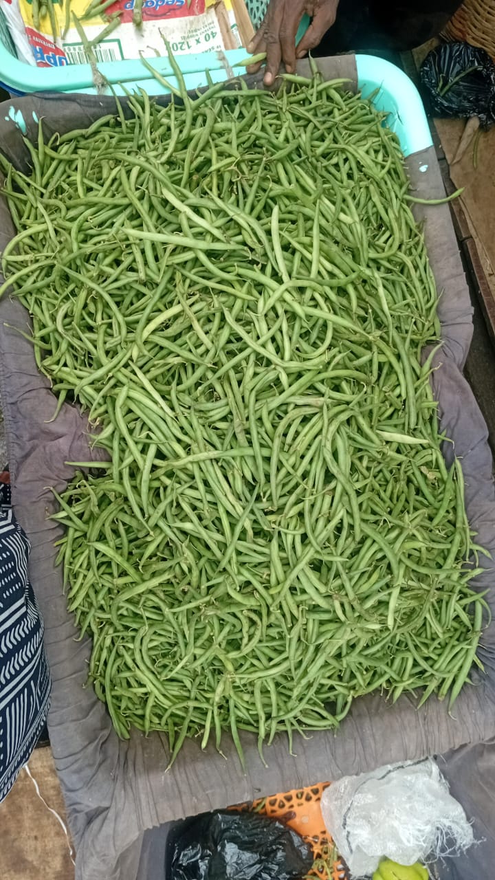 Green bean
