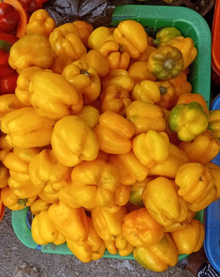 Yellow pepper 