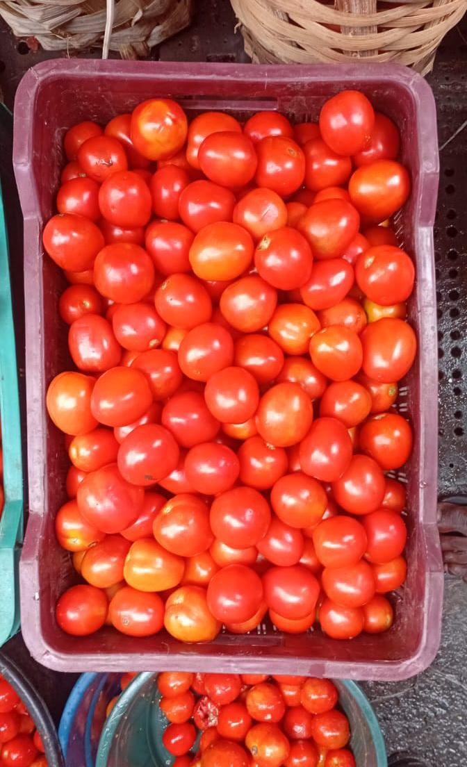 Tomatoes 