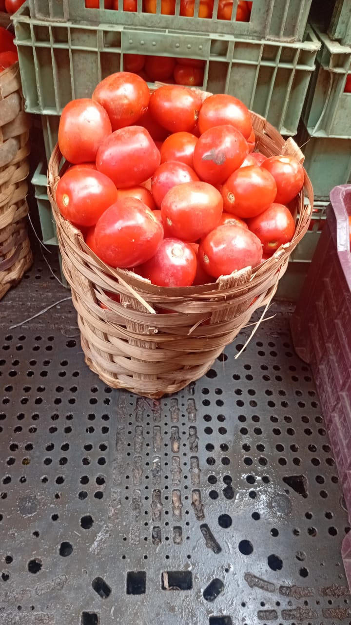Tomatoes 