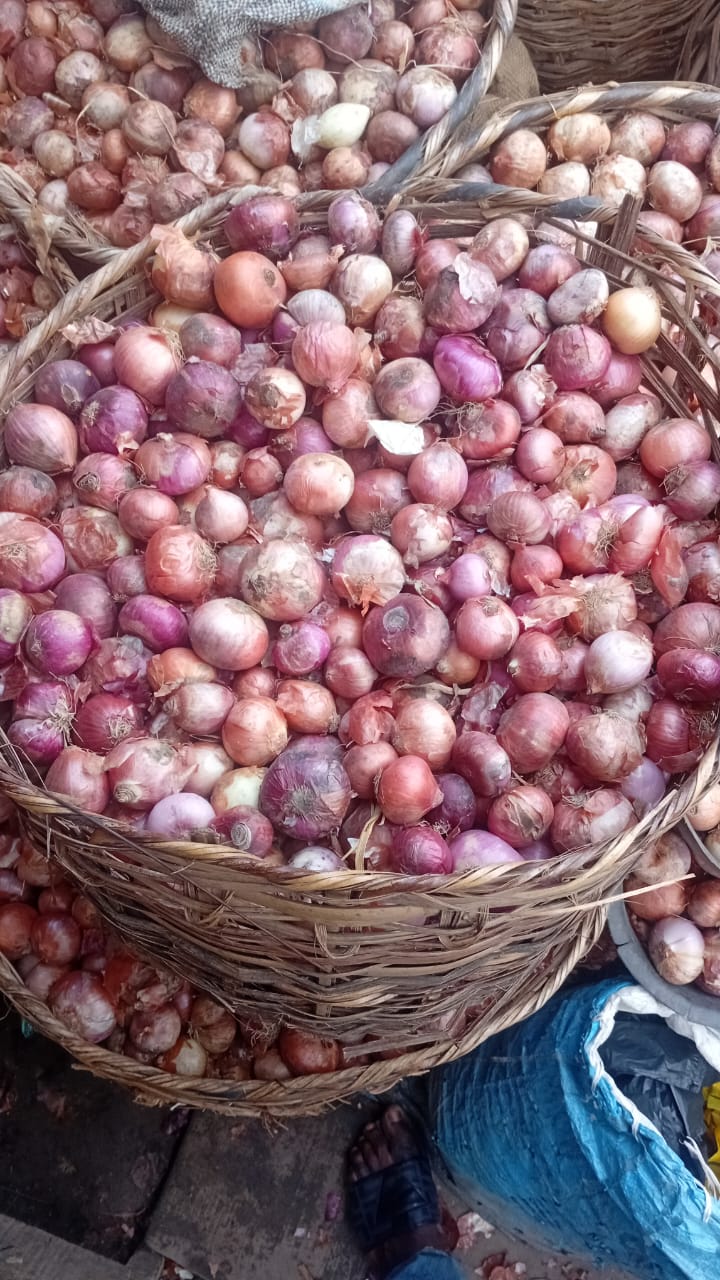 Onions 