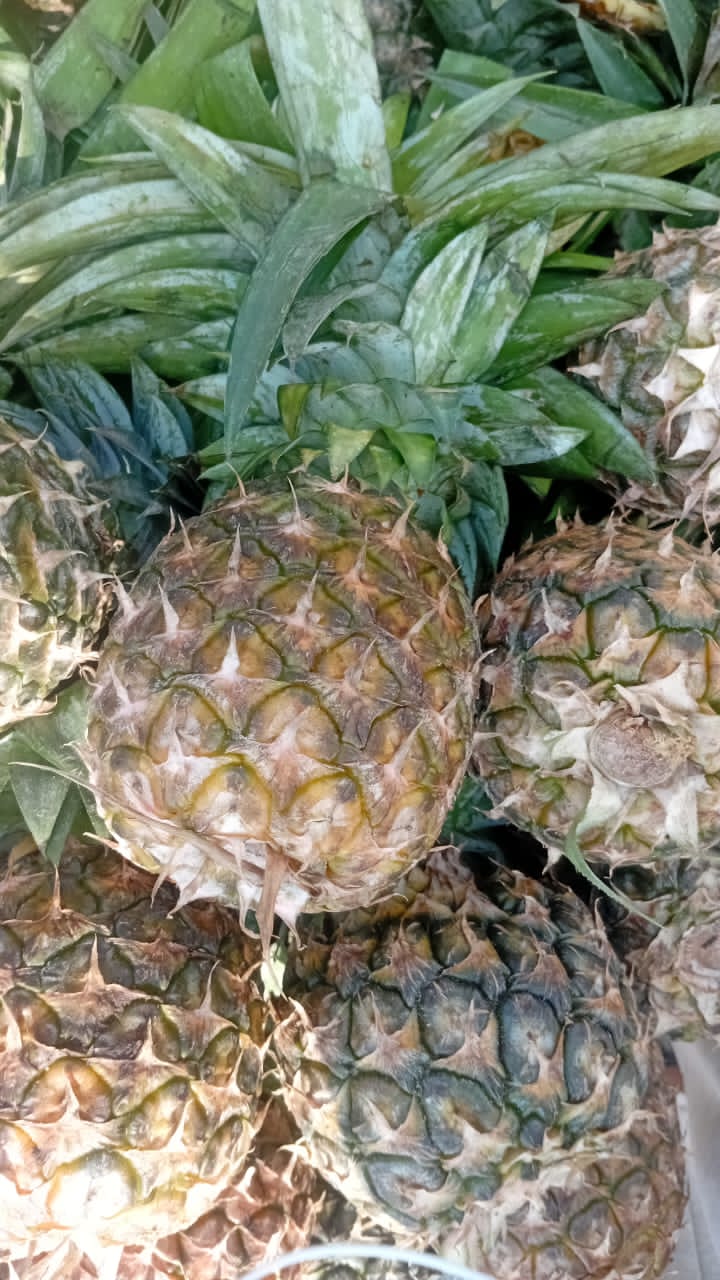 Pineapple 
