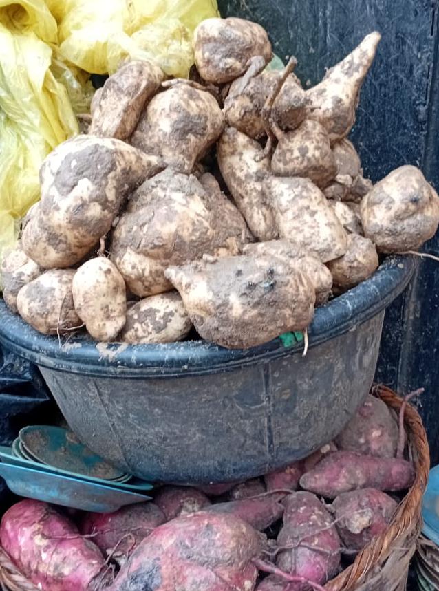Sweet Potato