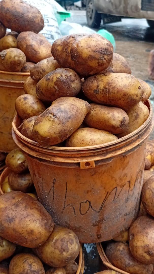 Irish Potatoes 