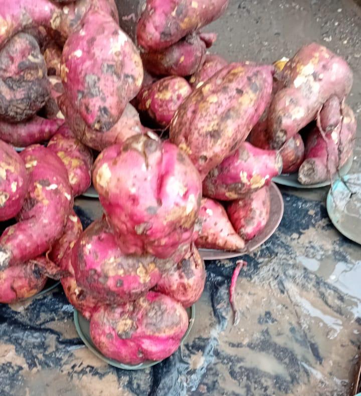 Sweet Potatoes 