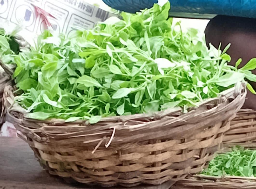 Water leaf