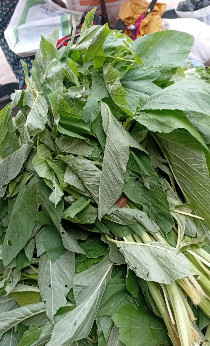 Spinach 