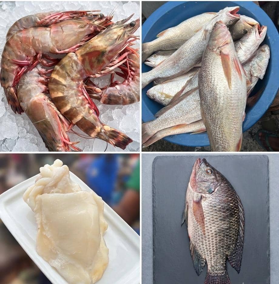 Avax Fresh Seafood Box