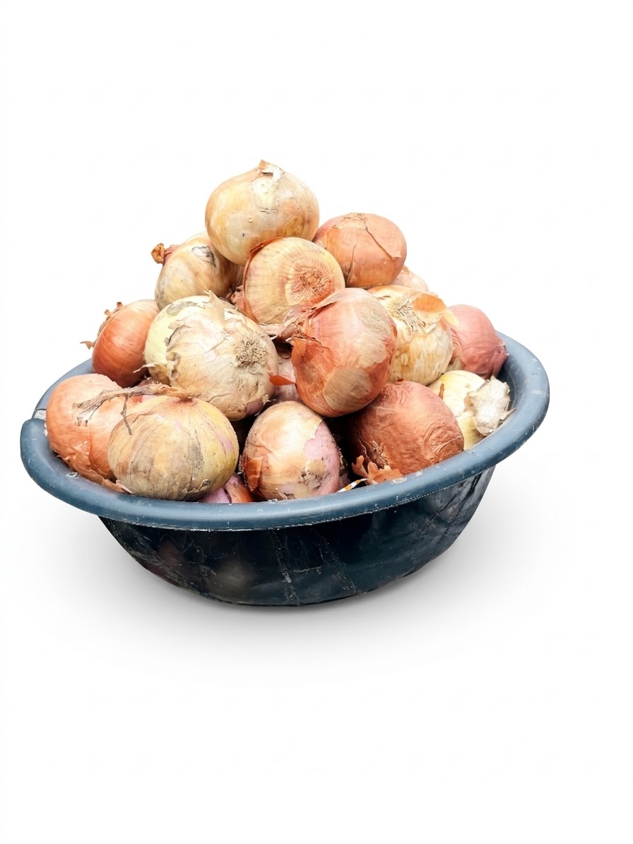Onion