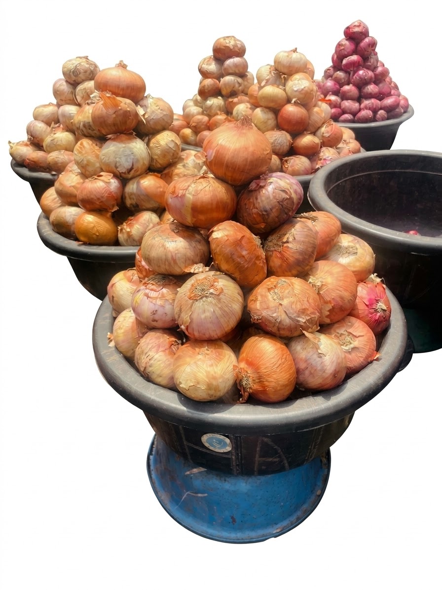 Onion