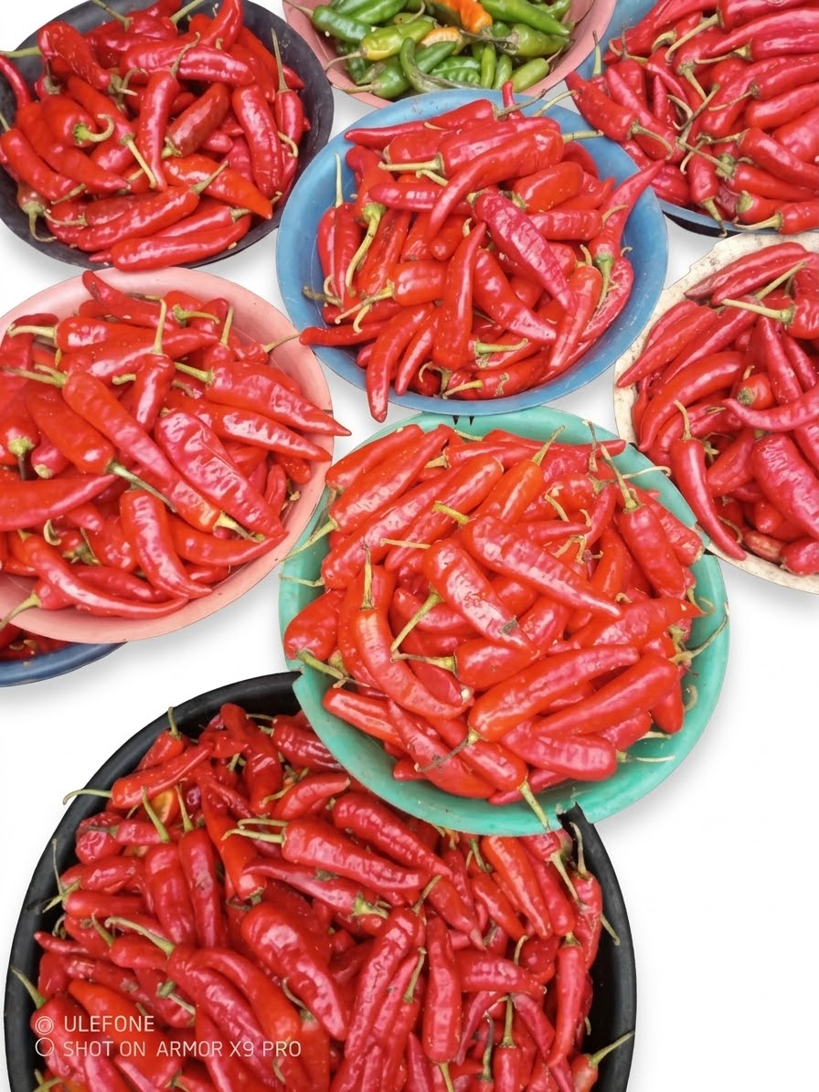 Pepper
