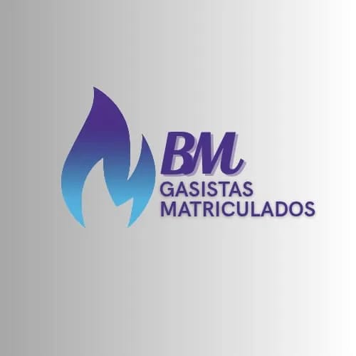 Bm Gasistas