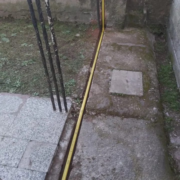 Nelson Bras — foto 1