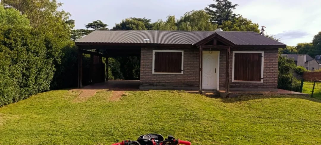 Mantenimiento general de jardines,parque,y terrenos baldíos no dudes en consultarnos!!! — foto 6
