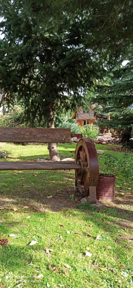 Bosque Serrrano — foto 4