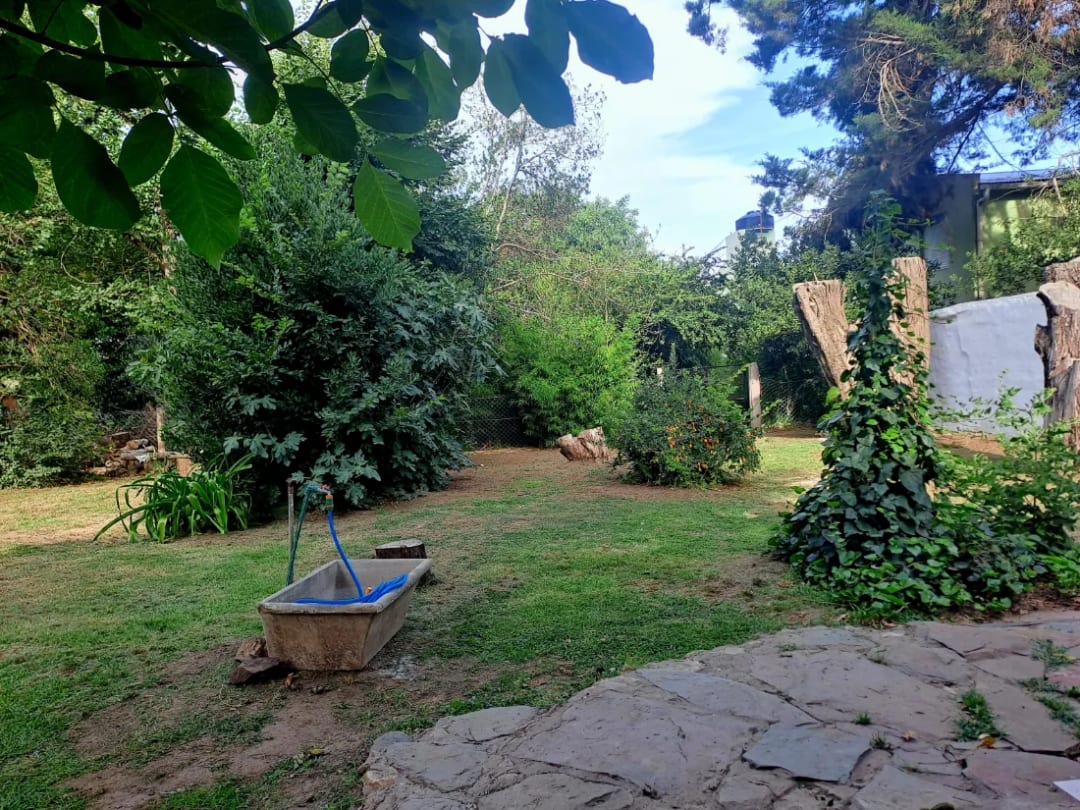 🐞☁️CasaNube⚘️, técnica en turismo en Sierra de la Ventana (foto 12 de 20)