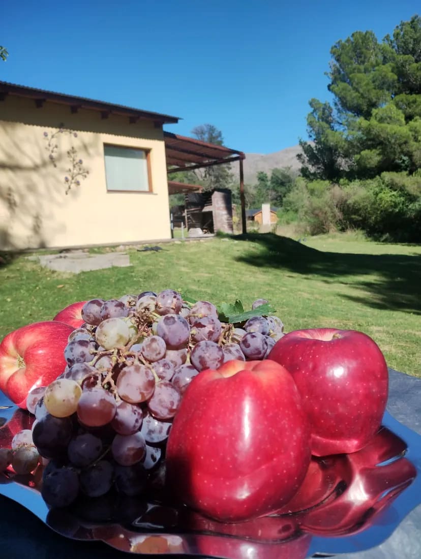 Casa Amorena — foto 4
