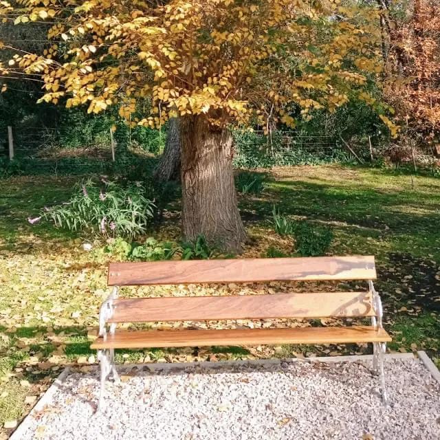 Cabañas La Lucía, alojamiento en la comarca serrana (foto 2 de 8)