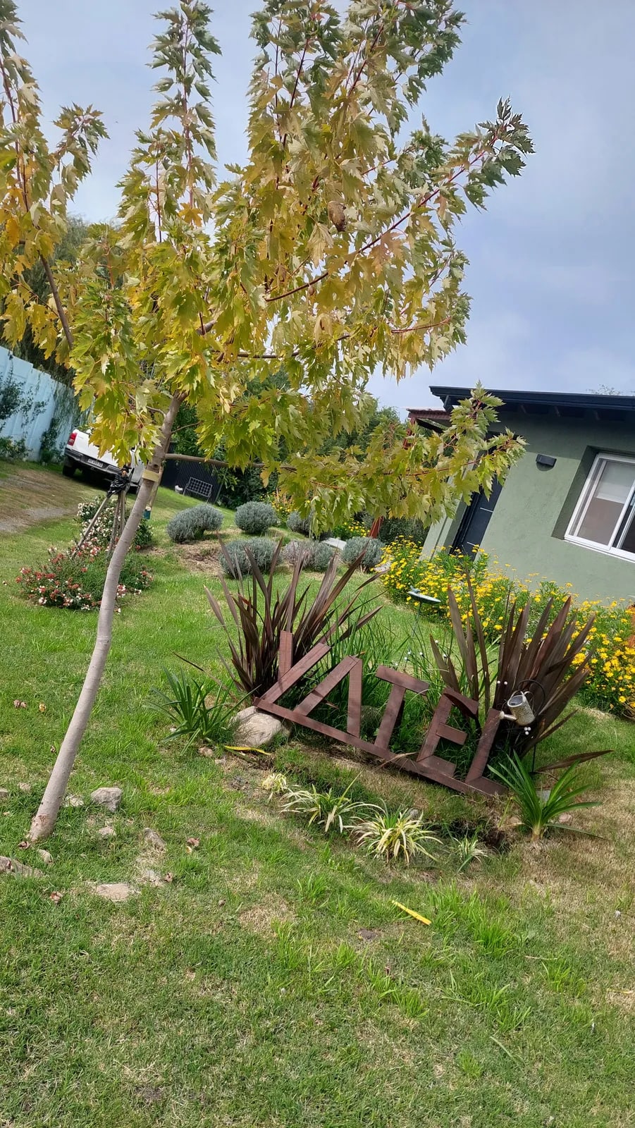 Cabañas Yatel — foto 2
