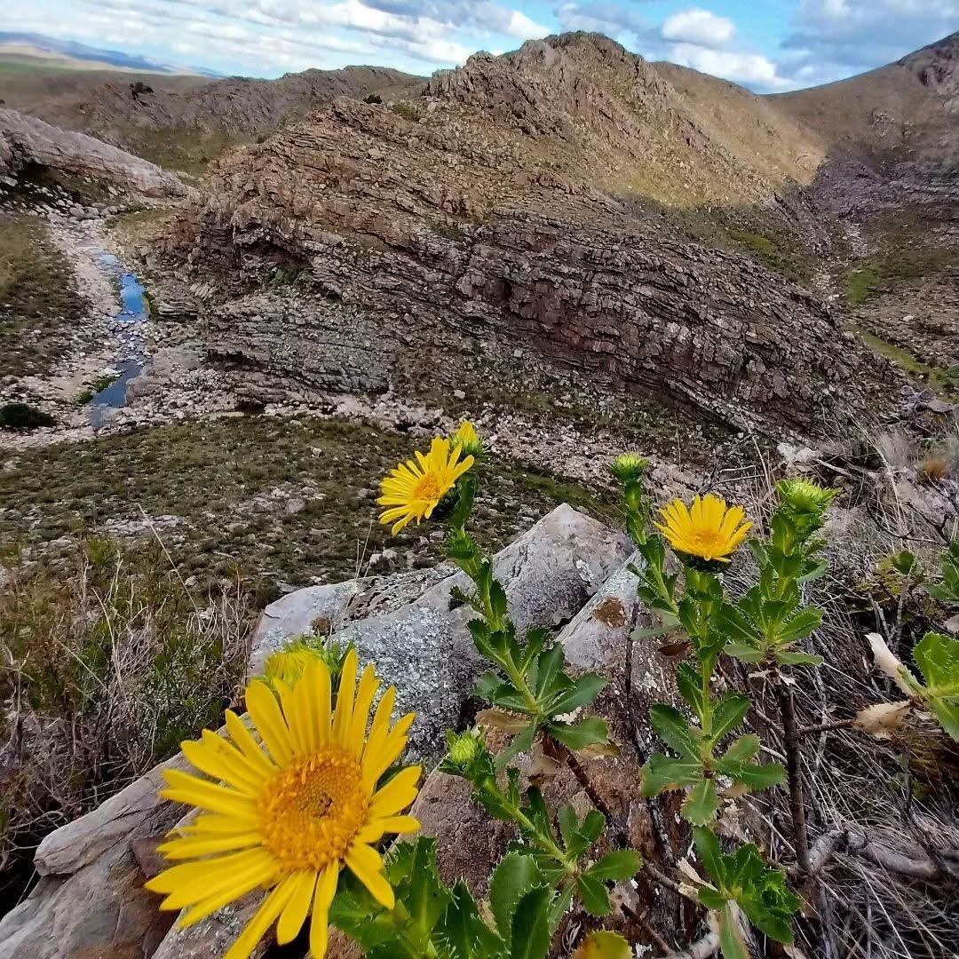 Cerro Carpa — foto 4