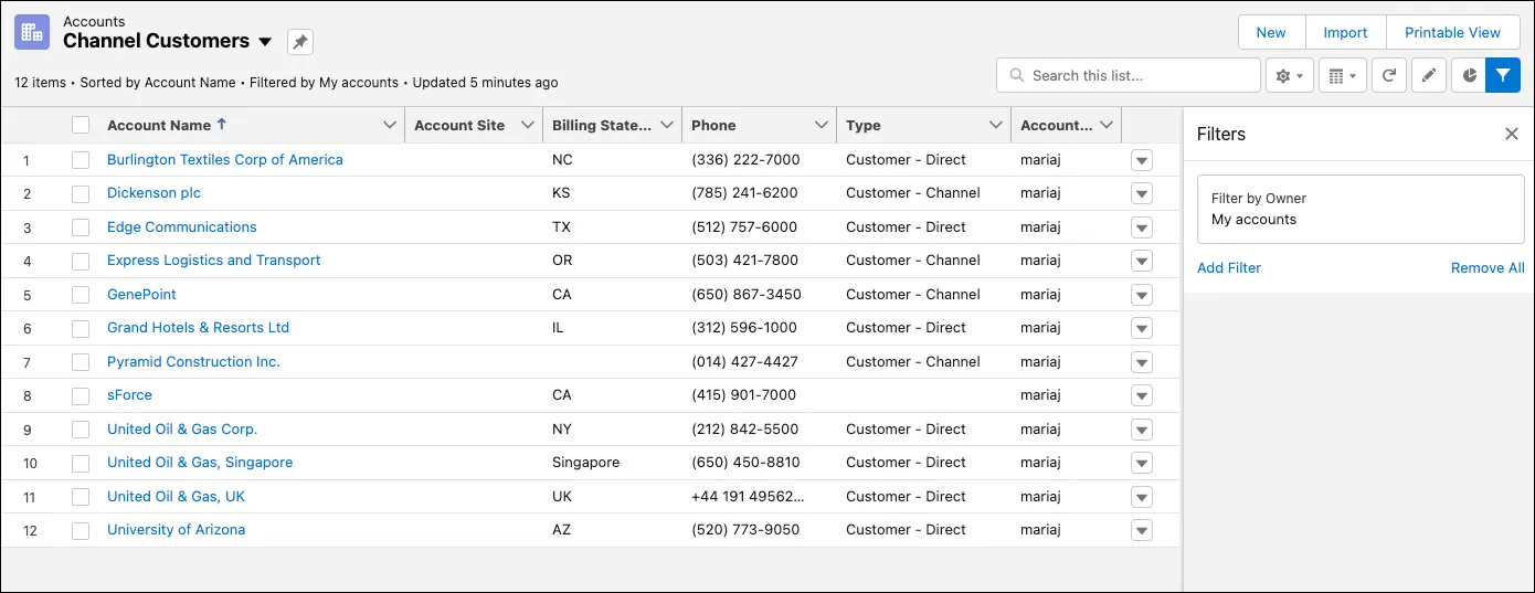 Salesforce Service Cloud | List View | Vagmine Cloud Solution