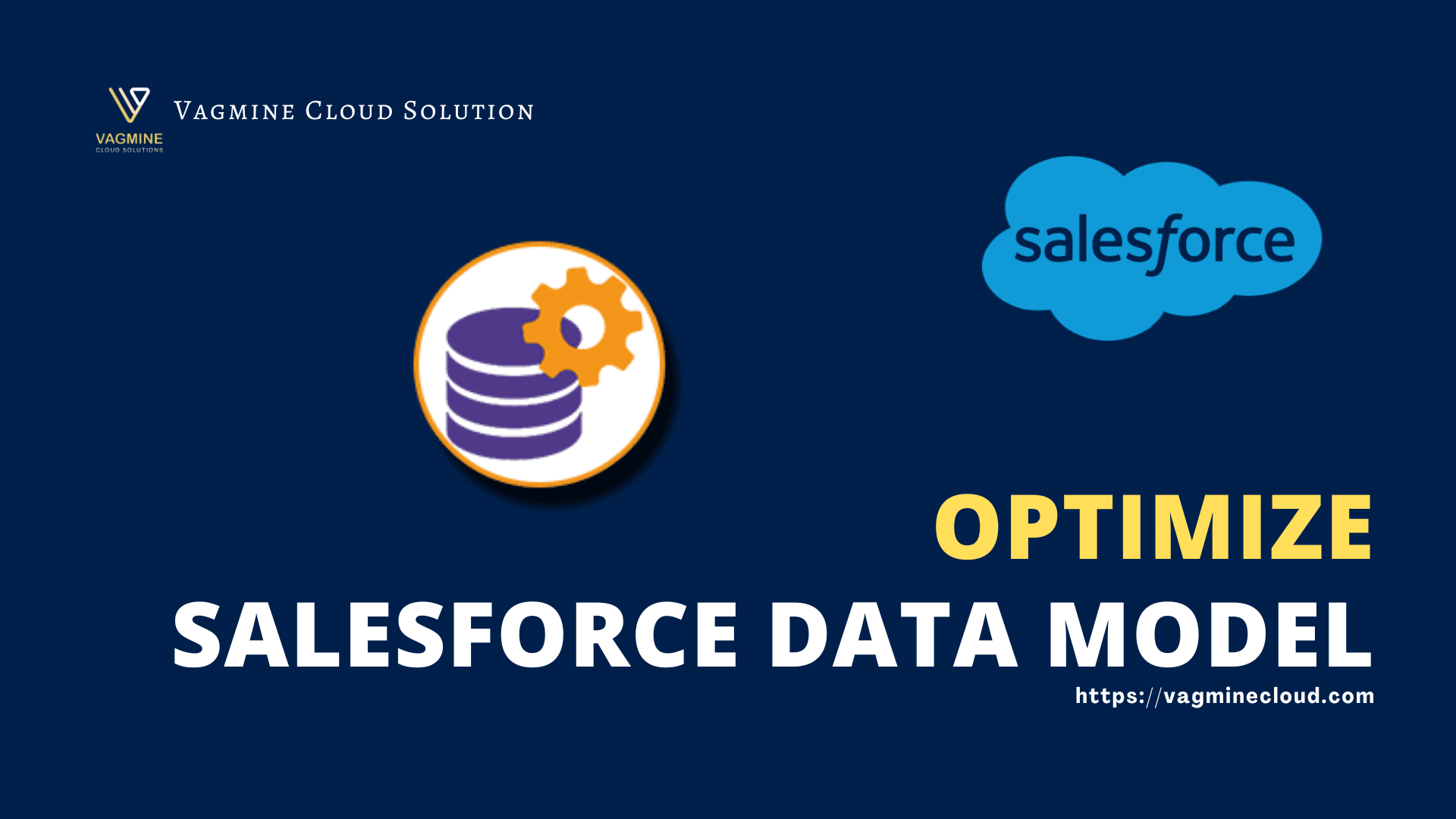 Salesforce Data Model - Vagmine Cloud Solution