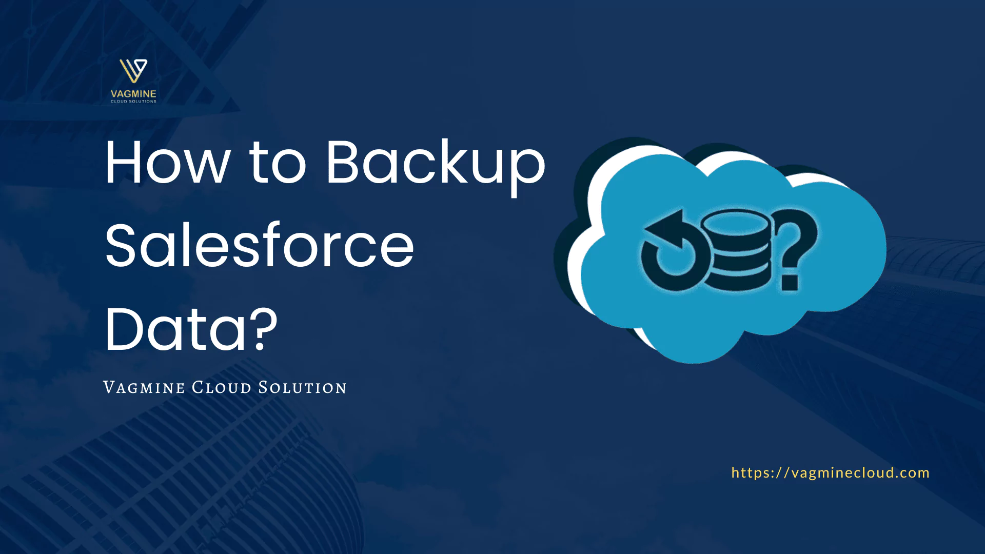 Salesforce Data Backup | Vagmine Cloud Solution