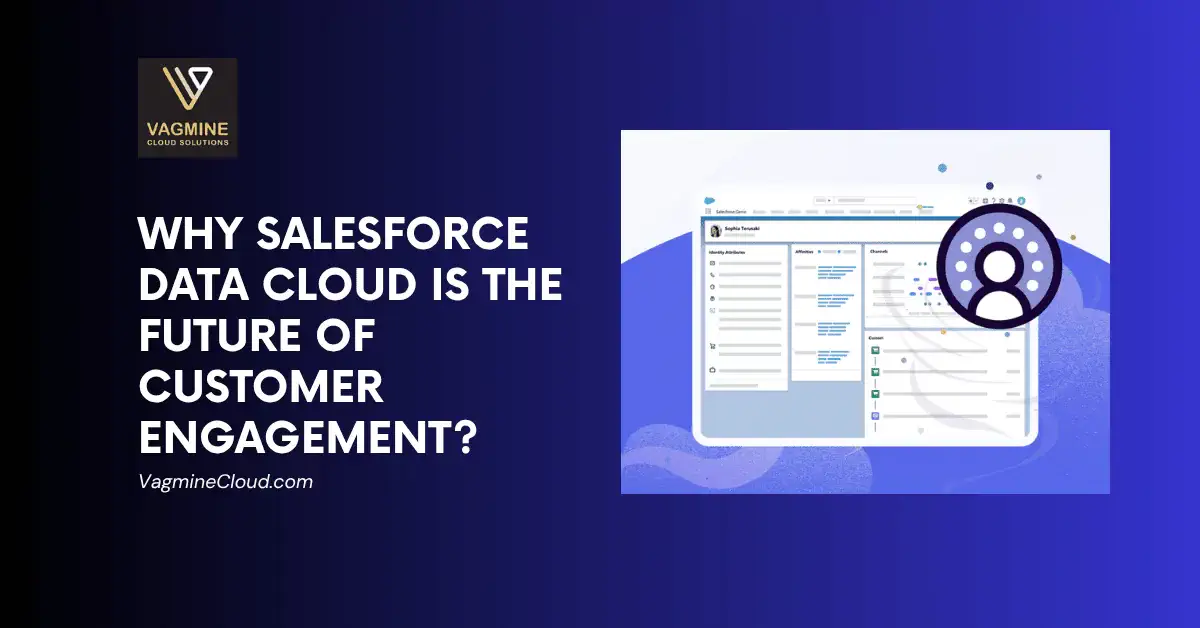 Salesforce Data Cloud - Vagmine Cloud Salesforce Data Cloud - Vagmine Cloud