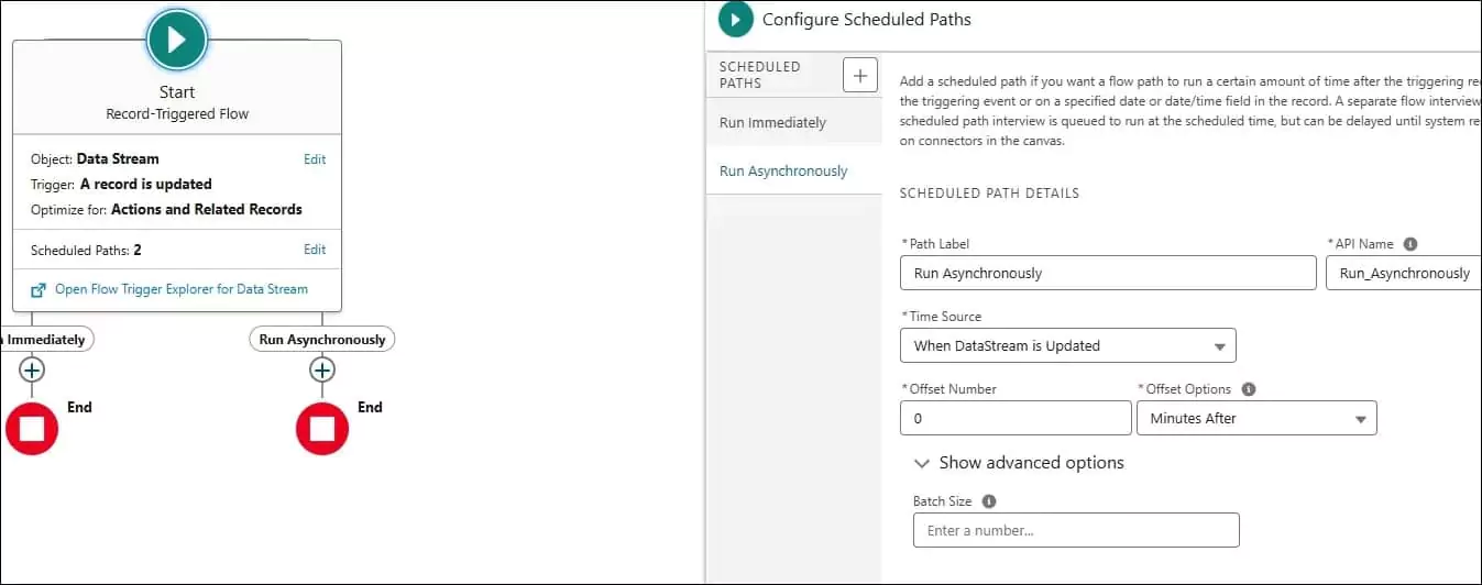 Salesforce Data Cloud | Data Ingestion Error Notification | Schedule Path in Flow | VagmineCloud