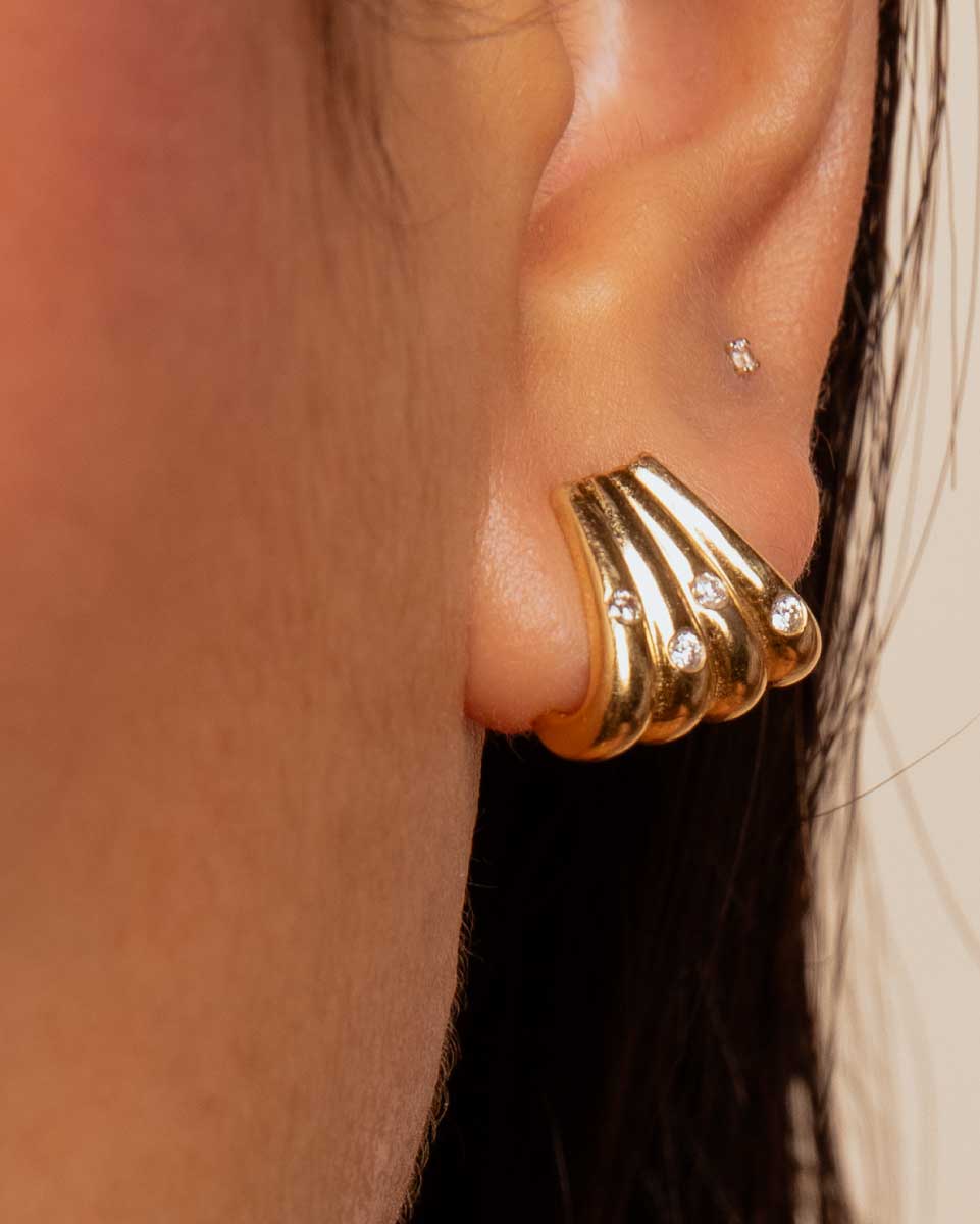 Dome Scallop Earrings