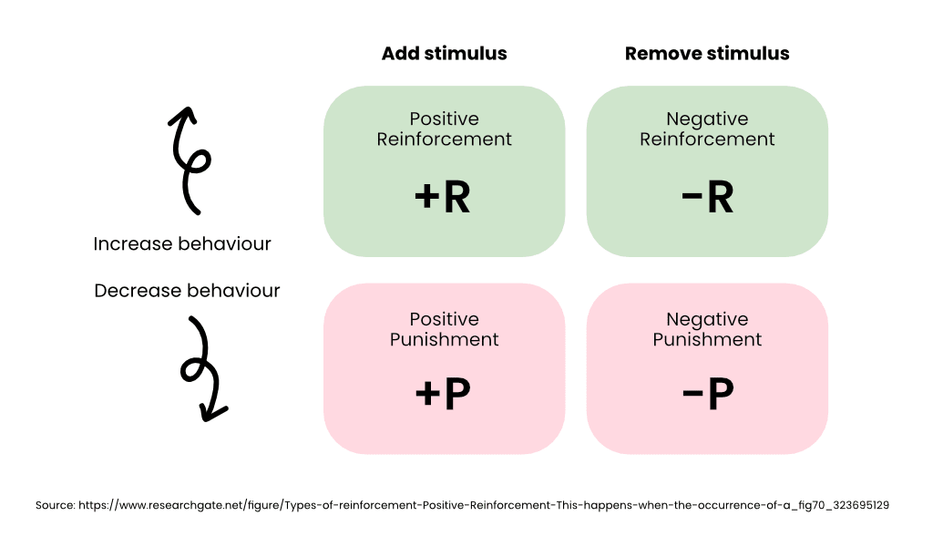 Diagram explaining the four types of reinforcement and punishment, including positive reinforcement (+R), negative reinforcement (-R), positive punishment (+P), and negative punishment (-P), showing how adding or removing stimuli can increase or decrease behaviour.