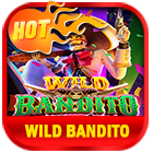 Wild Bandito